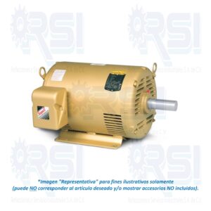 Motor ABB Baldor EM3313T-G